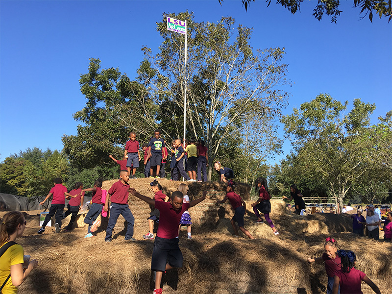 children in school uniforms climing hay mountain