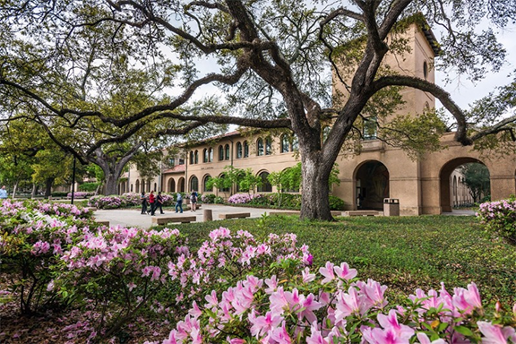 LSU Building with large oak tree and azaleas