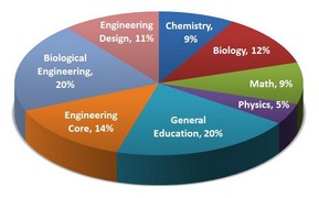 curriculum pie chart