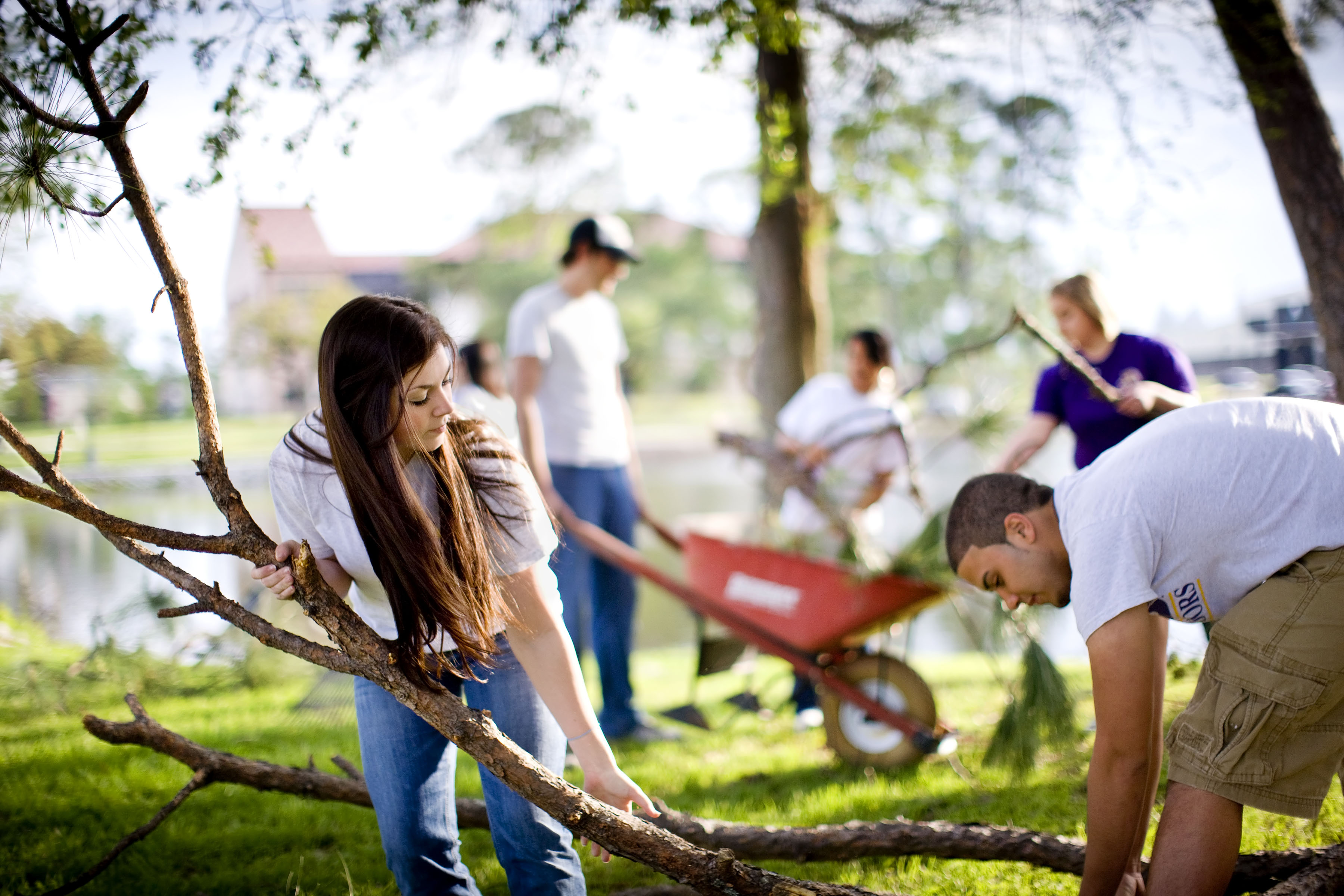 People clearing away a tree branch