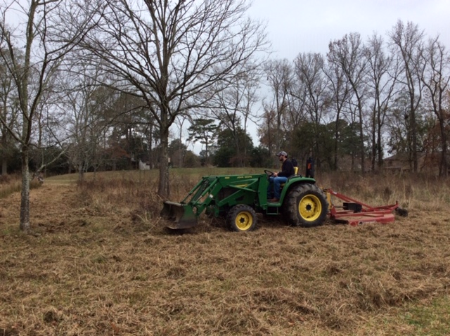 bush-hogging meadow