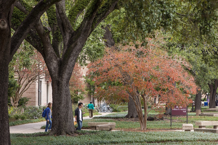 students on campus