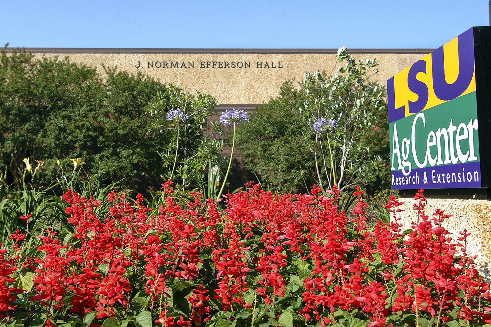 lsu agcenter sign with flowers in foreground