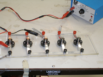 photo: Used to show the difference between resistors in series and in parallel. It is better to use low voltage for parllel circuit 1.5 volts - 3 volts.  APPARATUS:  LOCATION:      Boards with light bulbs  O3      Batteries  O6  Compare the brightness of light when bulbs are connected in series to that when connected in parallel. Show them that series resistance does not have to be on one straight line, just no gap in the circuit. What will happen if one resistor is removed when all are connected in series.