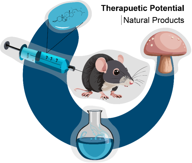 animal model illustration