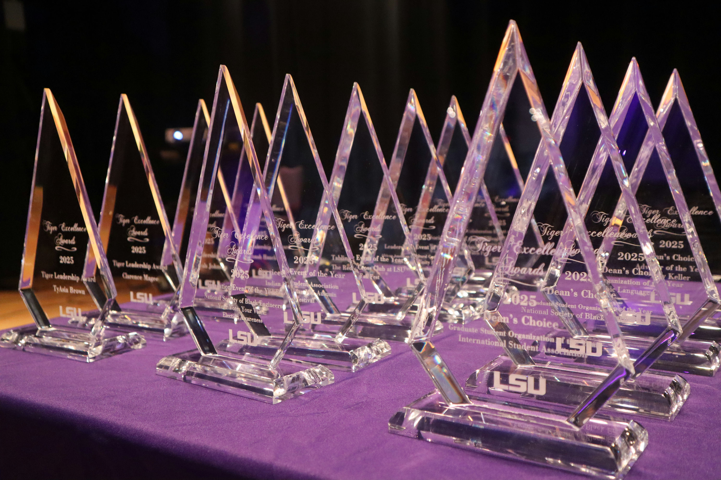 Tiger Execellence Awards