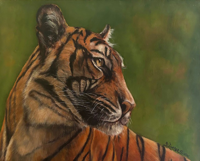 Javan tiger head