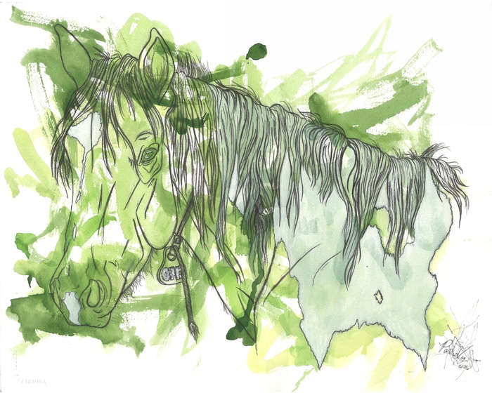 Mustang 0175 watercolor of a horse