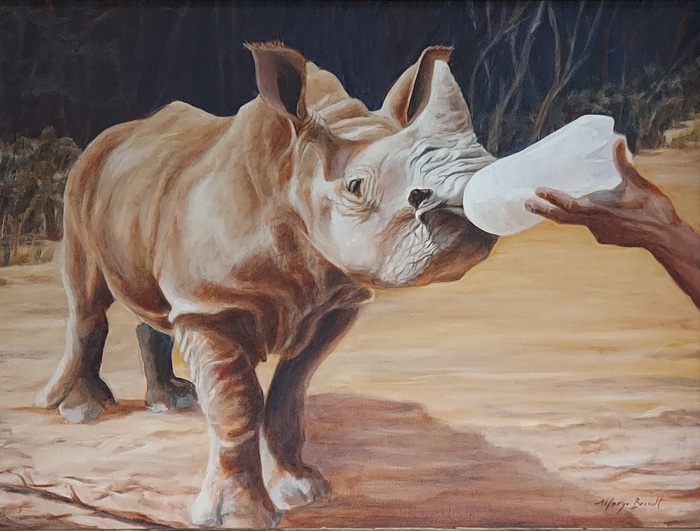 Rhino Rescue baby rhinocerous being bottle fed