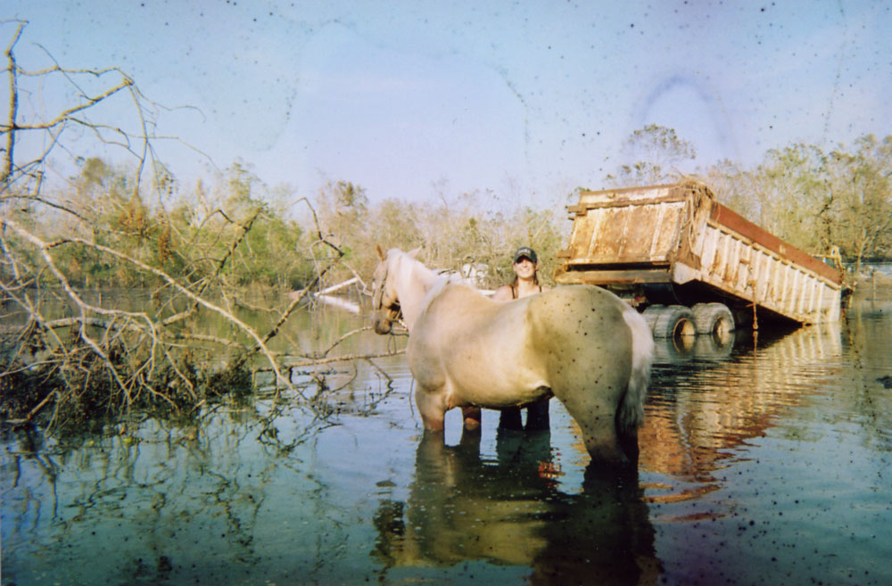 Horse in standing water with volunteer